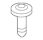 1249205123 - Body: Door Trim Panel Screw for Kia Image