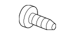9439259 - Electrical: Socket Plate Screw for Buick: Rainier | Chevrolet: Trailblazer, Trailblazer EXT | GMC: Envoy, Envoy XL | Oldsmobile: Bravada Image