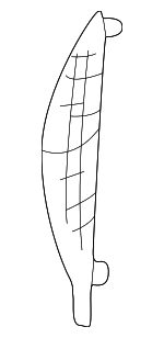 2W6Z7604339AAA - Body: Side Panel for Ford: Thunderbird Image