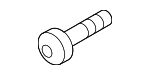 N10196103 - Body: Engine Coolant Pipe Bolt for Porsche: Cayenne, Macan, Panamera Image
