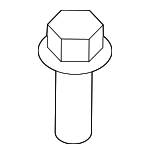 Fog Lamp Assembly Screw