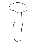 7195548020C0 - Body: Headrest Guide for Toyota: 4Runner Image