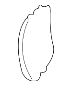 15962247 - Body: Baffle for Chevrolet: Blazer | GMC: Jimmy | Oldsmobile: Bravada Image