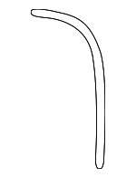 15754106 - Body: Drain Hose for GM Image