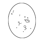 LC2Z3600AA - Steering: Steering Wheel for Ford: E-350 Super Duty, E-450 Super Duty Image