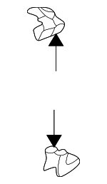 88970602 - Body: End Cover for Pontiac: Vibe Image
