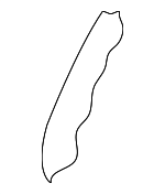 88350B0030 - Body: Seat Back Pad for Kia: Forte, Forte5 Image