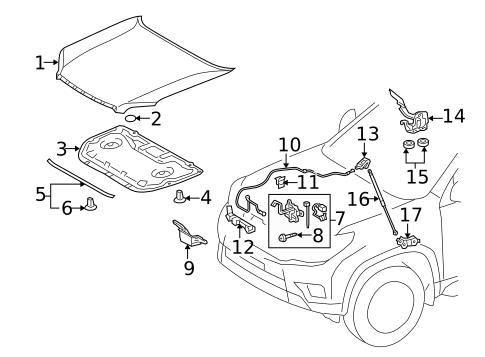 Hood & Components for 2017 Lexus GX460 #0