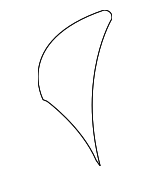 C2N2390ADY - Body: Seat Back Cover for Jaguar Image