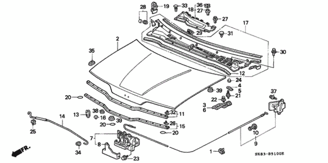 Engine Hood for 1991 Acura Integra #0