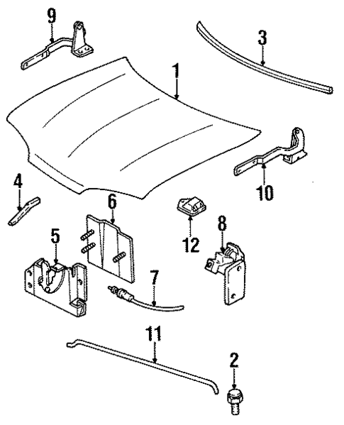 Hood & Components for 1997 Ford Contour #0