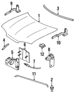 F5RZ16612B - Body: Hood for Ford: Contour Image