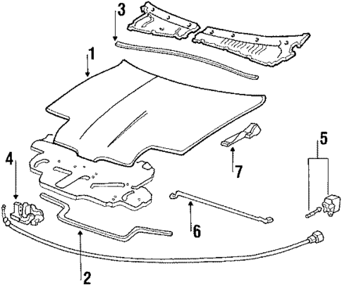 Hood & Components for 1987 Acura Integra #0