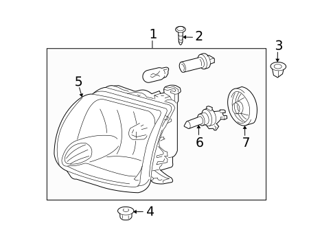 Bulbs - Chassis for 2006 Toyota Tundra #5