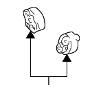 1756223040 - Exhaust: Converter &amp; Pipe Insulator for Scion: xA, xB | Toyota: Echo Image