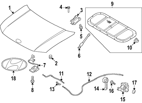 Exterior Trim - Hood for 2025 Hyundai Santa Fe #0