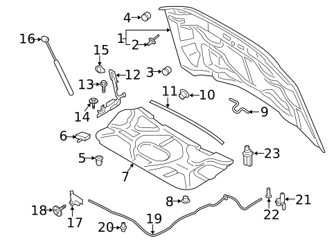 Hood & Components for 2018 Ford F-450 Super Duty #0