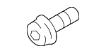 Fog Lamp Assembly Screw