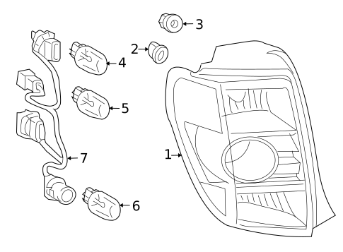 Bulbs - Chassis for 2009 Scion xD #1
