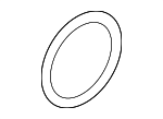 31511213527 - Suspension: Differential O-Ring for BMW Image