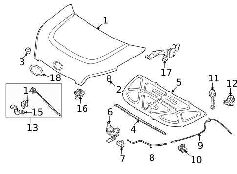 Exterior Trim - Hood for 2013 Kia Soul #0