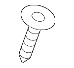 1244105163 - Body: Pull Handle Screw for Kia: Carnival, EV9, K900, Seltos, Soul Image