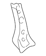 766389E030 - : Quarter Pillar Reinforcement for Nissan Image