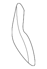 10431315 - Body: Reflector for GM Image