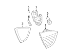7147169847 - Electrical: Tail Light Nut for BMW Image