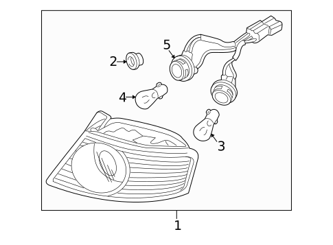 Bulbs - Chassis for 2004 Kia Amanti #2