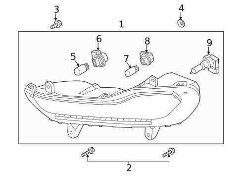 Bulbs - Chassis for 2016 Ford Escape #2