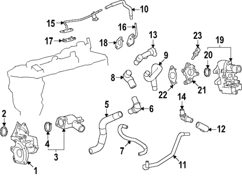 Hoses & Pipes for 2025 Toyota Land Cruiser #0