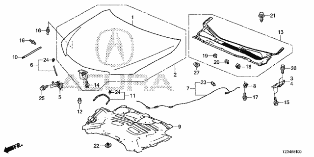 Engine Hood for 2019 Acura TLX #0