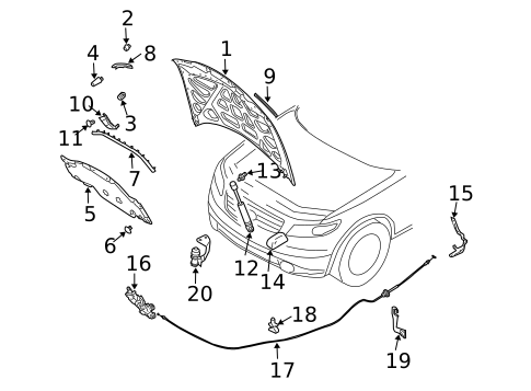 Hood & Components for 2006 INFINITI FX35 #0
