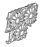 85686460 - : Fan Shroud for Chevrolet: Suburban | GMC: Yukon XL Image