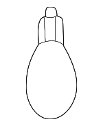 9008498038 - Electrical: Bulb for Toyota: Camry Image