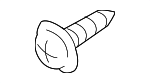 145100841 - Body: Flare Screw for Infiniti Image