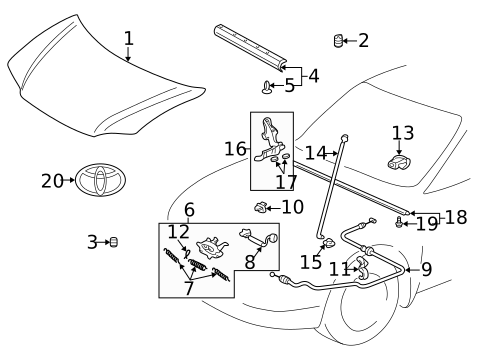 Hood & Components for 2005 Toyota Echo #0