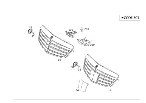 Radiator Grille for 2016 Mercedes-Benz E250 #0