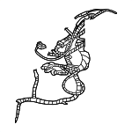 4759661AF - Electrical: Harness for Chrysler: Concorde Image