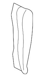 7S4Z7466801A - Body: Seat Back Pad for Ford: Focus Image