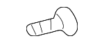 Lock Assembly Screw