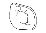 8796160B90 - Body: Mirror Glass for Toyota: Land Cruiser Image