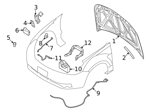 Hood & Components for 2010 Ford Focus #0