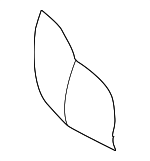 5C5881776J - Body: Seat Back Pad for Volkswagen Image