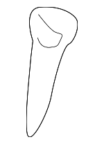 12474357 - Body: Guide for Cadillac: DeVille Image