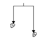 Floor Pan Reinforcement