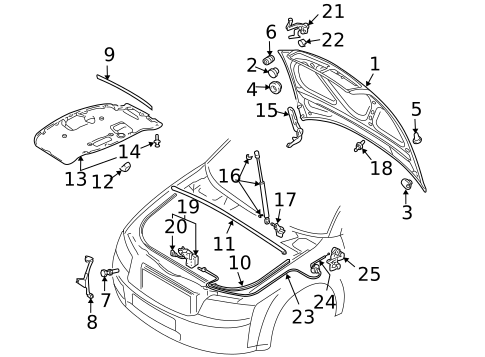 Hood & Components for 2005 Audi A4 Quattro #0