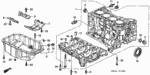 11000PPL810 - Engine: BLOCK ASSY., CYLINDER (DOT) for Honda Image