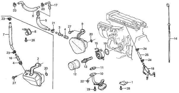 Oil Cooler - Breather Tube for 1986 Acura Integra #0